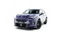 Set of Splitters V.1 Cupra Terramar Mk1